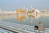 India Amritsar Golden Temple stock photographs